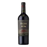 VINO CYT C.DIABLO RED BLEND 750 ML